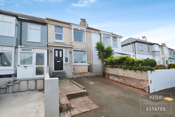 3 Bedroom Terraced House For Sale In Berry Road, Paignton, TQ3