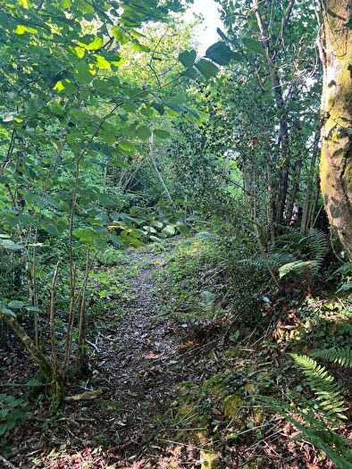 Land For Sale In Farway, Colyton, EX24