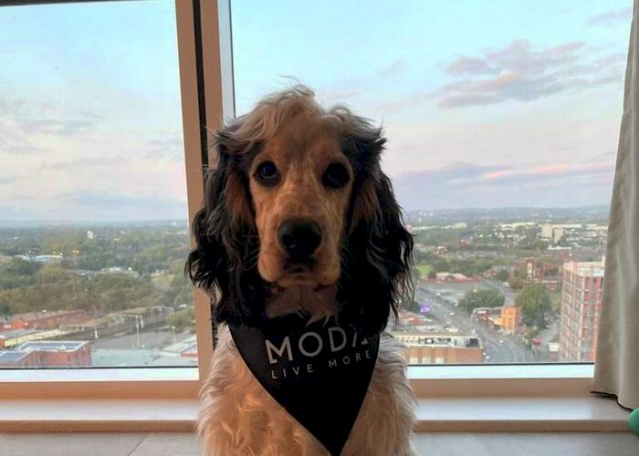 1 Bedroom Apartment To Rent In Angel Gardens, Manchester, M4