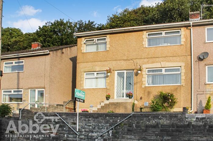 3 Bedroom Semi-Detached House For Sale In Shelone Road, Briton Ferry, Neath, SA11