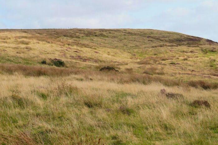 Land For Sale In Pencarreg, Carmarthenshire, SA48