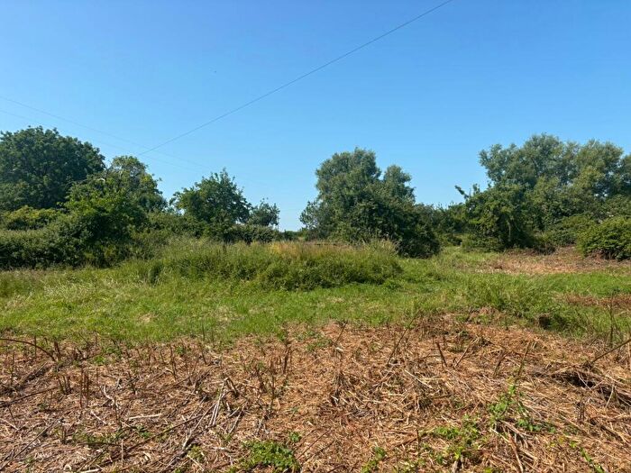 Farm Land For Sale In Glastonbury Road, Meare, BA6