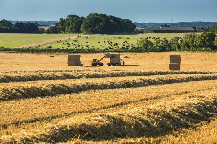 Land For Sale In Tarrant Rushton, Blandford Forum, DT11