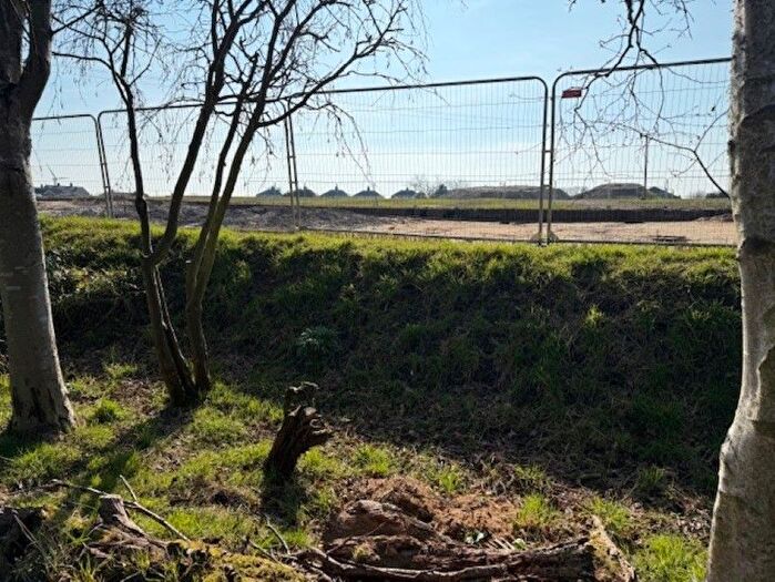 Land For Sale In Land Adjoining Damgate Lane, Damgate Back Lane, Martham, Norfolk, NR29