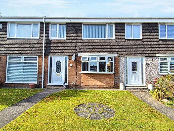 3 Bedroom Terraced House For Sale In Newlyn Drive, Jarrow, Tyne And Wear, NE32
