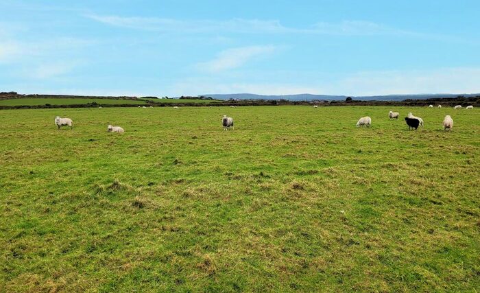 Land For Sale In Black Rock, Camborne, TR14
