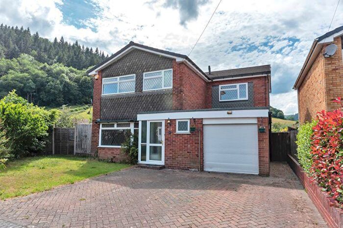 4 Bedroom Detached House For Sale In Tyn Y Celyn Drive, Llangollen, LL20