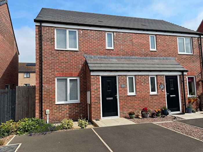 3 Bedroom Semi-Detached House For Sale In Gannet Drive, Amble, NE65