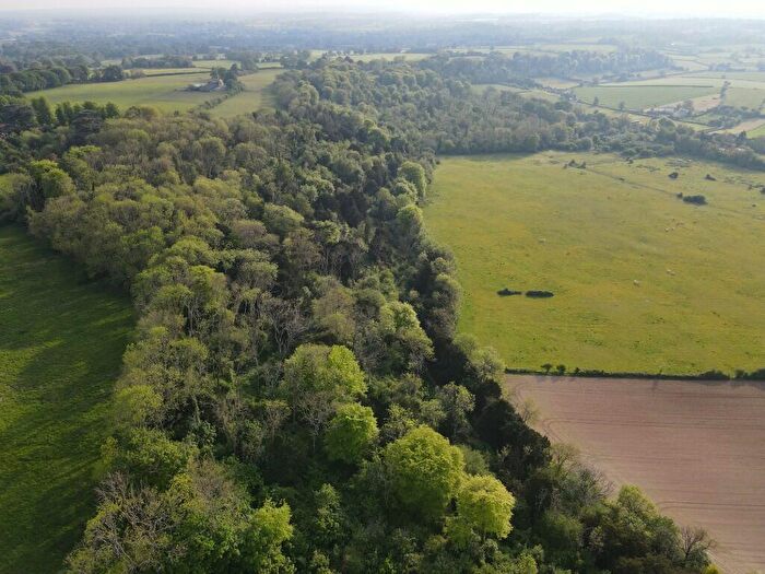 Farm Land For Sale In Dundridge Woods, Bishops Waltham - Woodland For Sale - Two Attractive Parcels Of Broadleaf Amenity Woodland, SO32