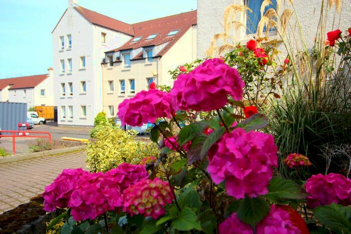 1 Bedroom Flat To Rent In Aitkin Court, Bute Wynd, Kirkcaldy, KY1