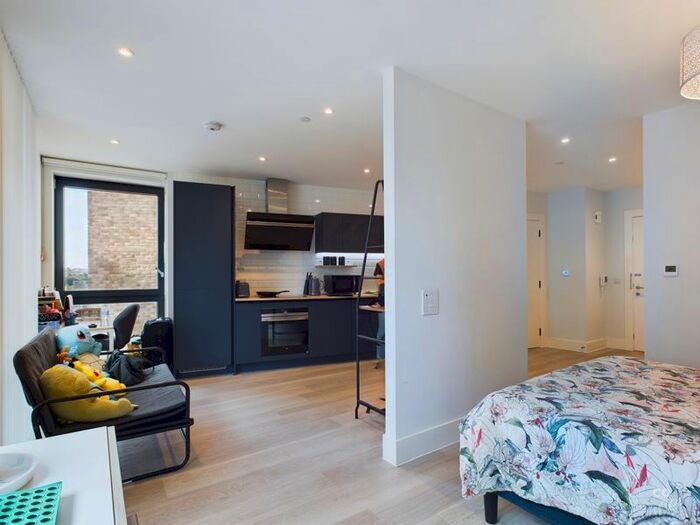 1 Bedroom Flat To Rent In The Furlong, Brighton, BN2