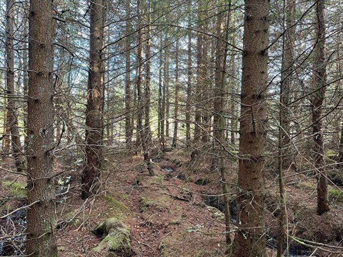 Land For Sale In Ghriama Wood, Lairg, Sutherland, IV27