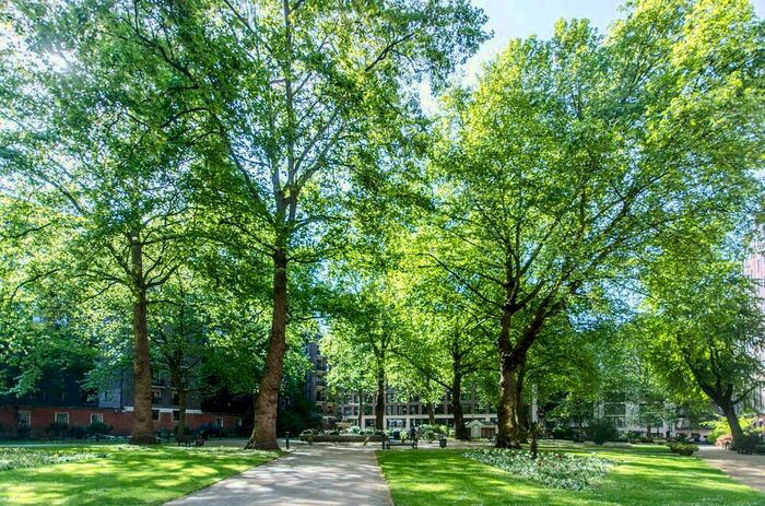 1 Bedroom Flat To Rent In Page Street, Westminster, London, SW1P