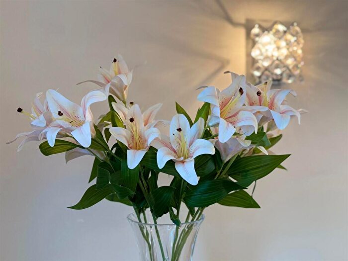 4 Bedroom Detached House For Sale In Sycamore Close, Sutton Coldfield, B76