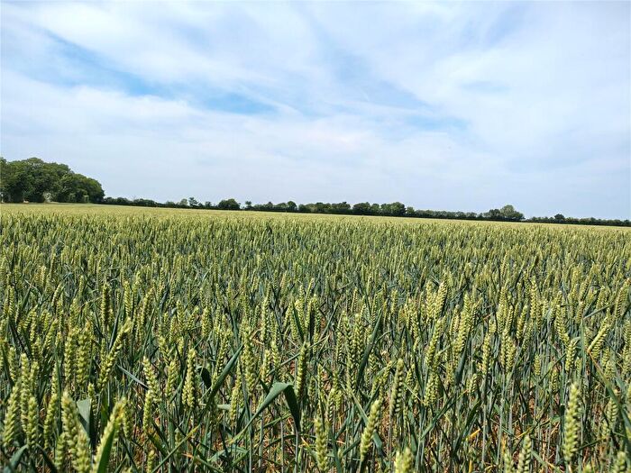 Land For Sale In Mickfield, Stowmarket, Suffolk, IP14