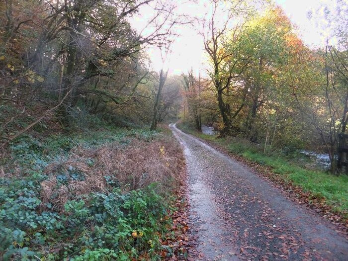 Land For Sale In Two Waters Foot, Liskeard, PL14