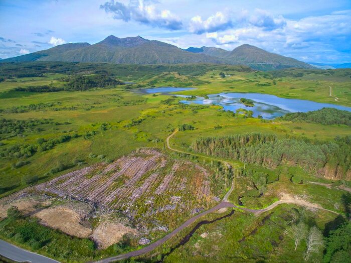 Land For Sale In Ballimore Estate, Kilchrenan, By Taynuilt, PA35