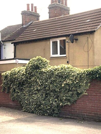 2 Bedroom House To Rent In Town Centre, CO1