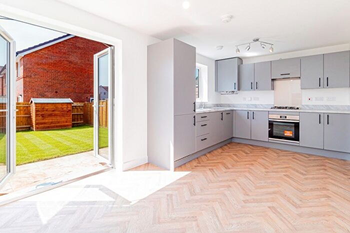 3 Bedroom Semi-Detached House To Rent In Leaf Living At Allium Park, Guildford, Ef, GU23