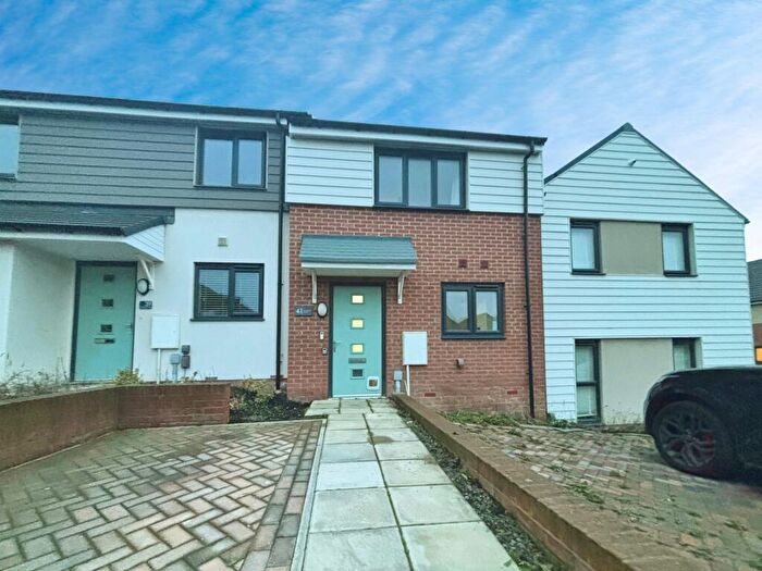 2 Bedroom Terraced House For Sale In Chesterholm Avenue, Scotswood, Newcastle Upon Tyne, NE15
