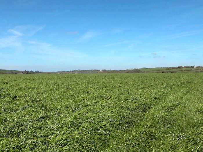 Land For Sale In Launcells, Bude, Cornwall, EX23