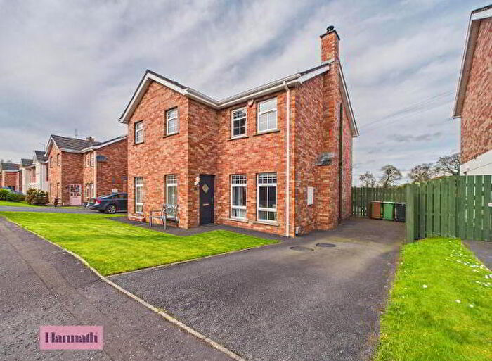3 Bedroom Semi-Detached House For Sale In Birchdale Manor, Craigavon, BT66