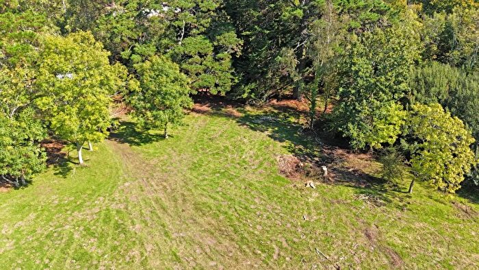 Farm Land For Sale In Honey Lane, Burley, BH24