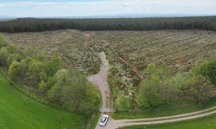 Land For Sale In Gillshaw & Dummyrig Woods, Lockerbie, DG11