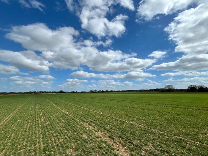 Land For Sale In Old Buckenham, Attleborough, Norfolk, NR17