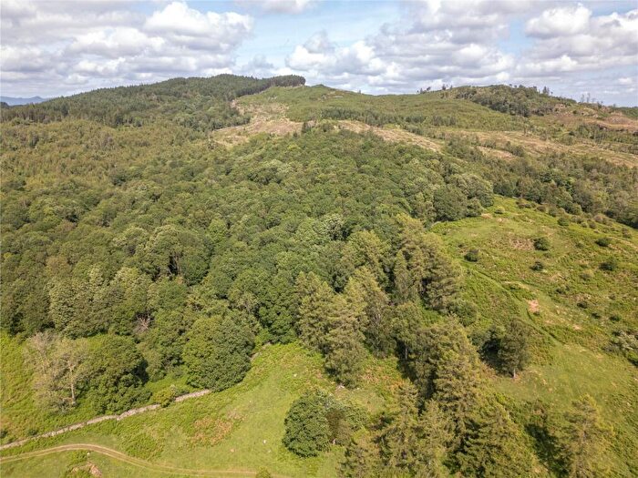 Land For Sale In Low Dale Park Farm & Cott - Lot, Satterthwaite, Ulverston, Cumbria, LA12