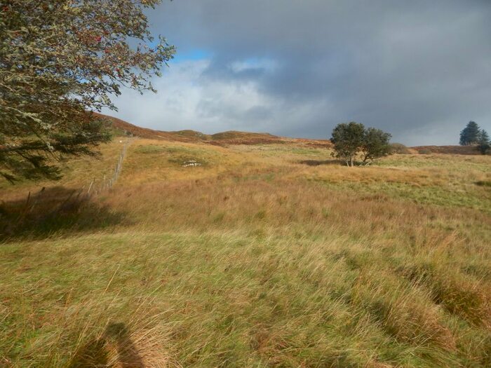 Land For Sale In Drumfearn, Sleat, IV43