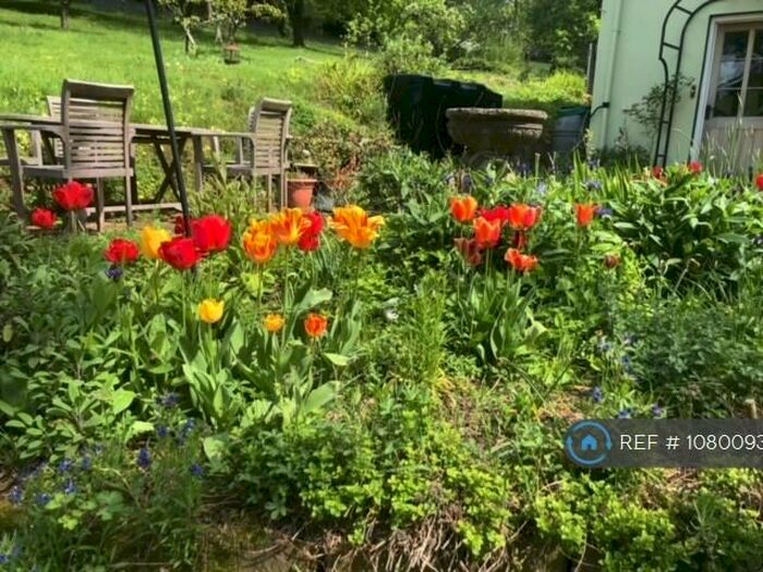 3 Bedroom Detached House To Rent In Hewelsfield, Hewelsfield, Glos, GL15