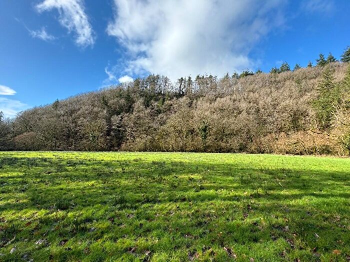Land For Sale In . Acres Woodland And Land At Llanpumsaint, SA33