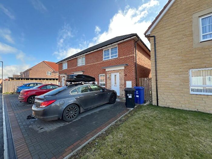 3 Bedroom House To Rent In Pippin Way, DN7