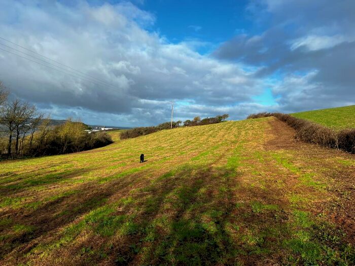 Land For Sale In Lot Land At Down Thomas, PL9