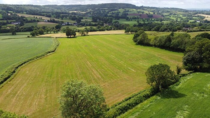 Land For Sale In Blackborough, Cullompton, Devon, EX15
