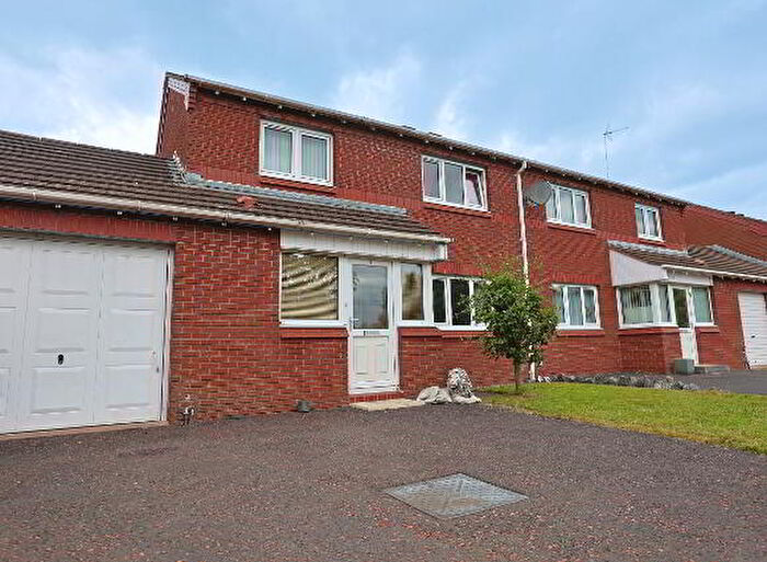 3 Bedroom Semi-Detached House For Sale In Clendinning Drive, Craigavon, BT62