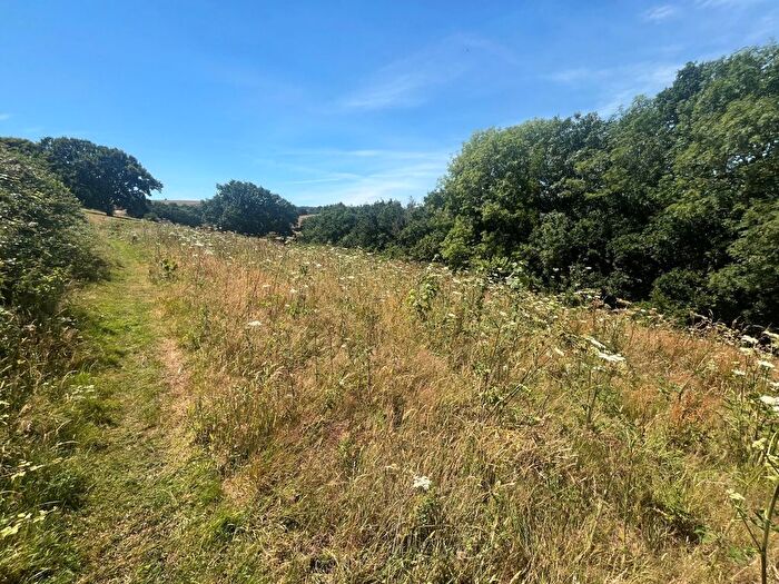 Land For Sale In Ide, Exeter, Devon, EX2
