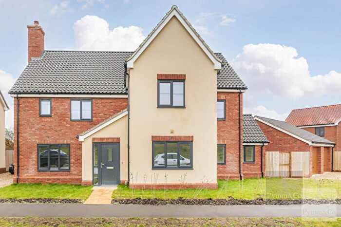 5 Bedroom Detached House For Sale In Manor Green, Hales, NR14