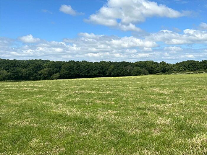 Land For Sale In Highampton, Beaworthy, Devon, EX21
