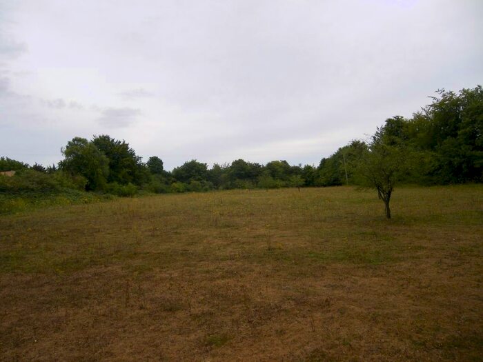 Farm Land For Sale In Land Lying To The North Of The, Micheldever, Nr Winchester, Hampshire, SO21