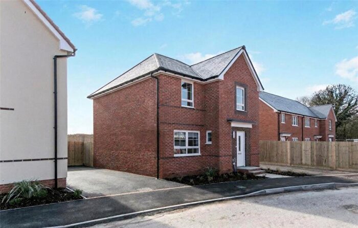 4 Bedroom Detached House To Rent In Ross Frames Grove, Hailsham, East Sussex, BN27