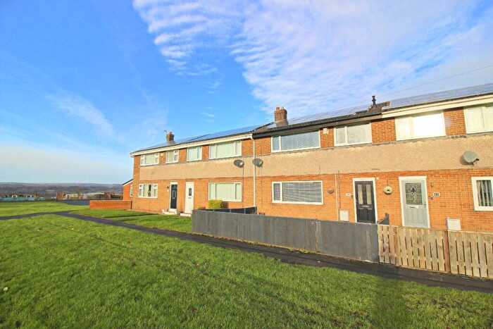 3 Bedroom Terraced House For Sale In Broadviews, Great Lumley, Chester Le Street, DH3