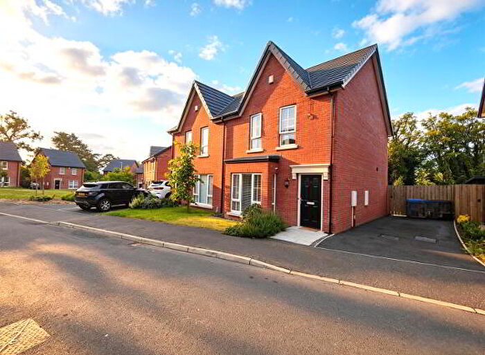 3 Bedroom Semi-Detached House For Sale In Mill Valley Lodge, Belfast, BT14