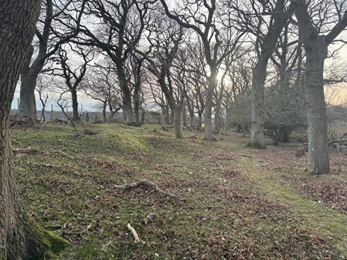 Land For Sale In East Stoke, Wareham, BH20
