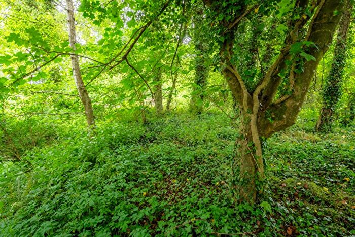 Land For Sale In Coppice At Horwood, EX39