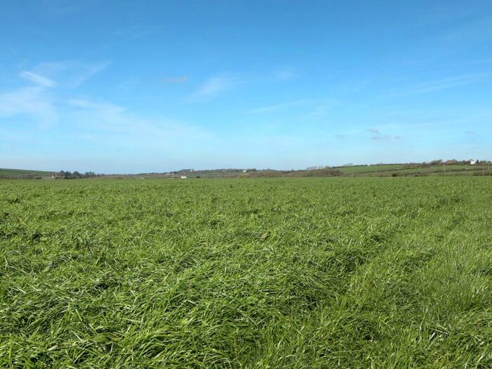 Land For Sale In Launcells, Bude, Cornwall, EX23