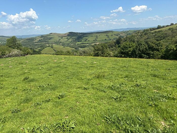 Land For Sale In Amp; Pantglas Fields, Llanwrda, Carmarthenshire., SA19