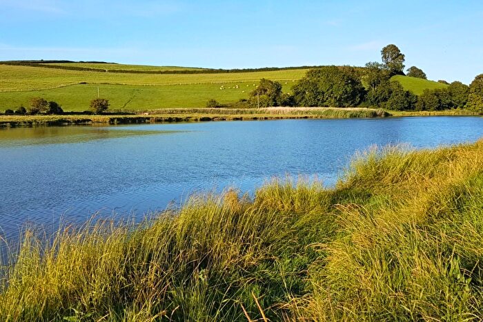 Land For Sale In Acres Of Versatile Land - St Clears, SA33