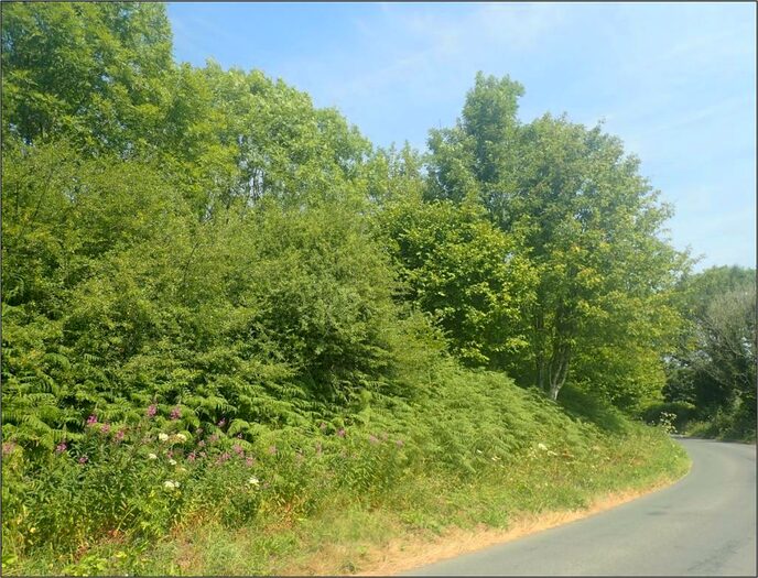 Land For Sale In Clyro, HR3